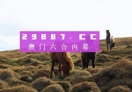 澳门开奖结果2023|专业分析解释落实_体验版150.283