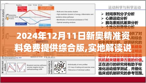 2024新奥正版资料免费提供|全面释义解释落实