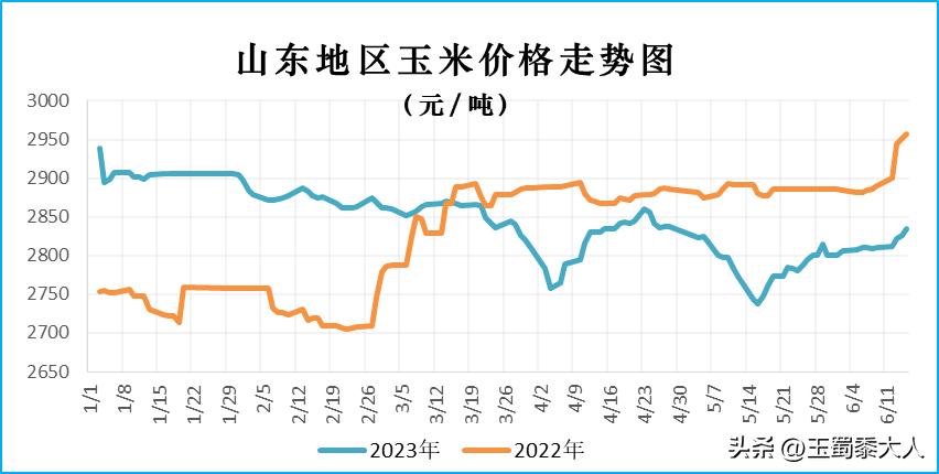 今天小麦最新价格概览，聚焦山东市场